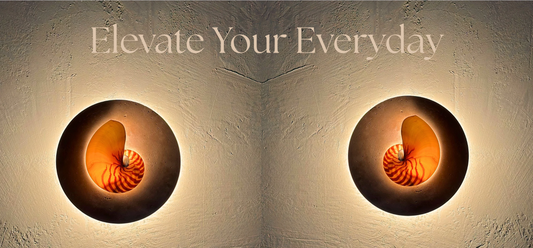 Luminous Beauty: The Artistry and Craftsmanship Behind our Exquisite Shell Lamps