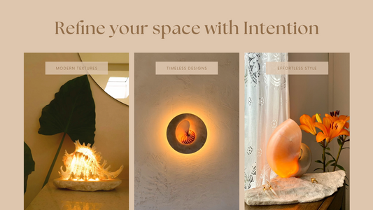 Light from the Sea: The Story Behind the Shell