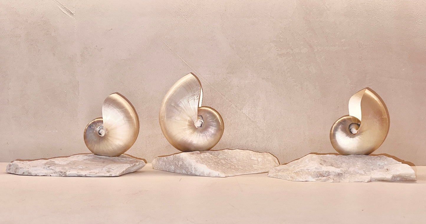 Grande Mother of Pearl - large