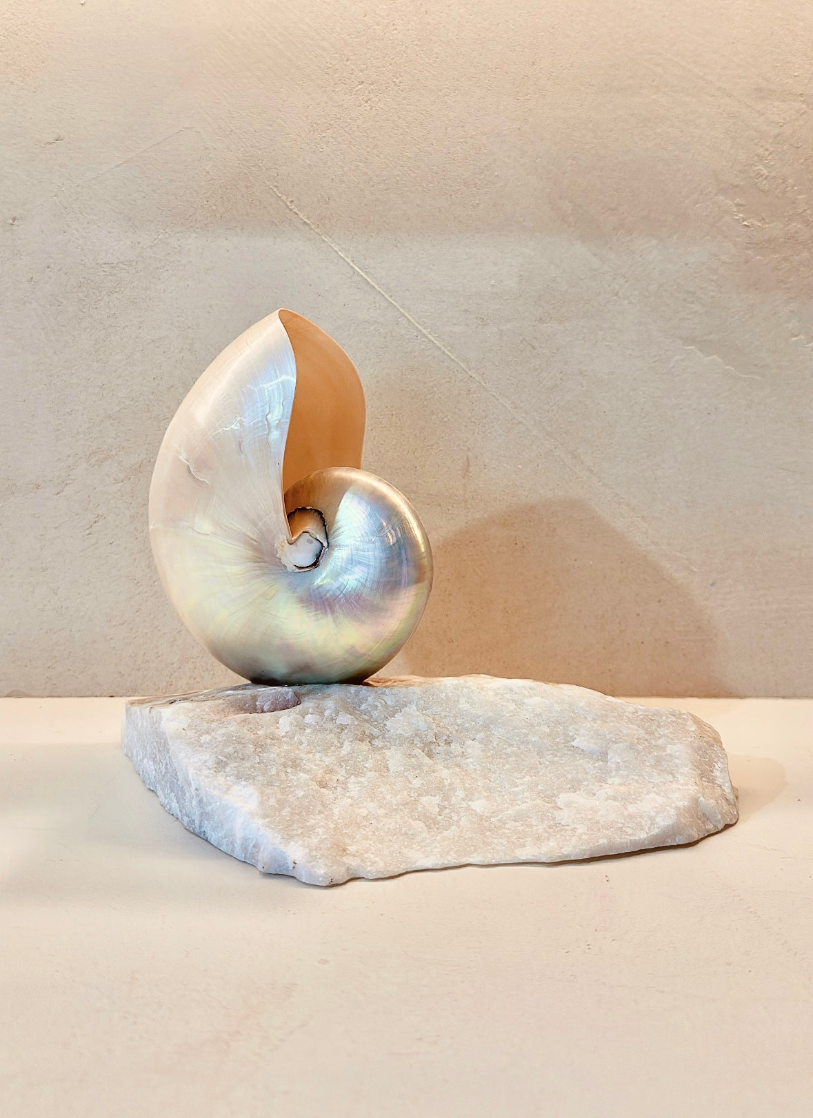 Grande Mother of Pearl - large