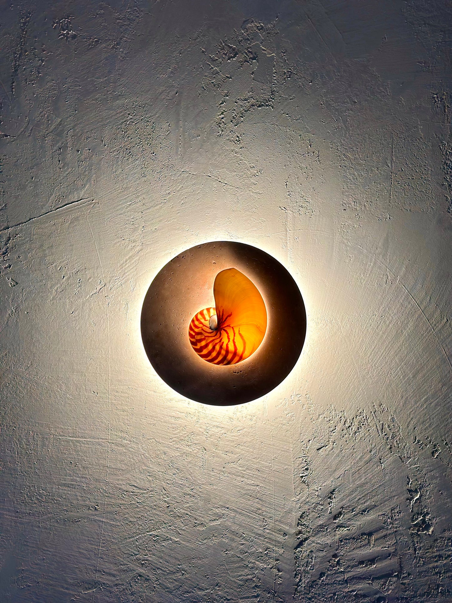 Nautilus shell and travertine stone wall sconce on textured render