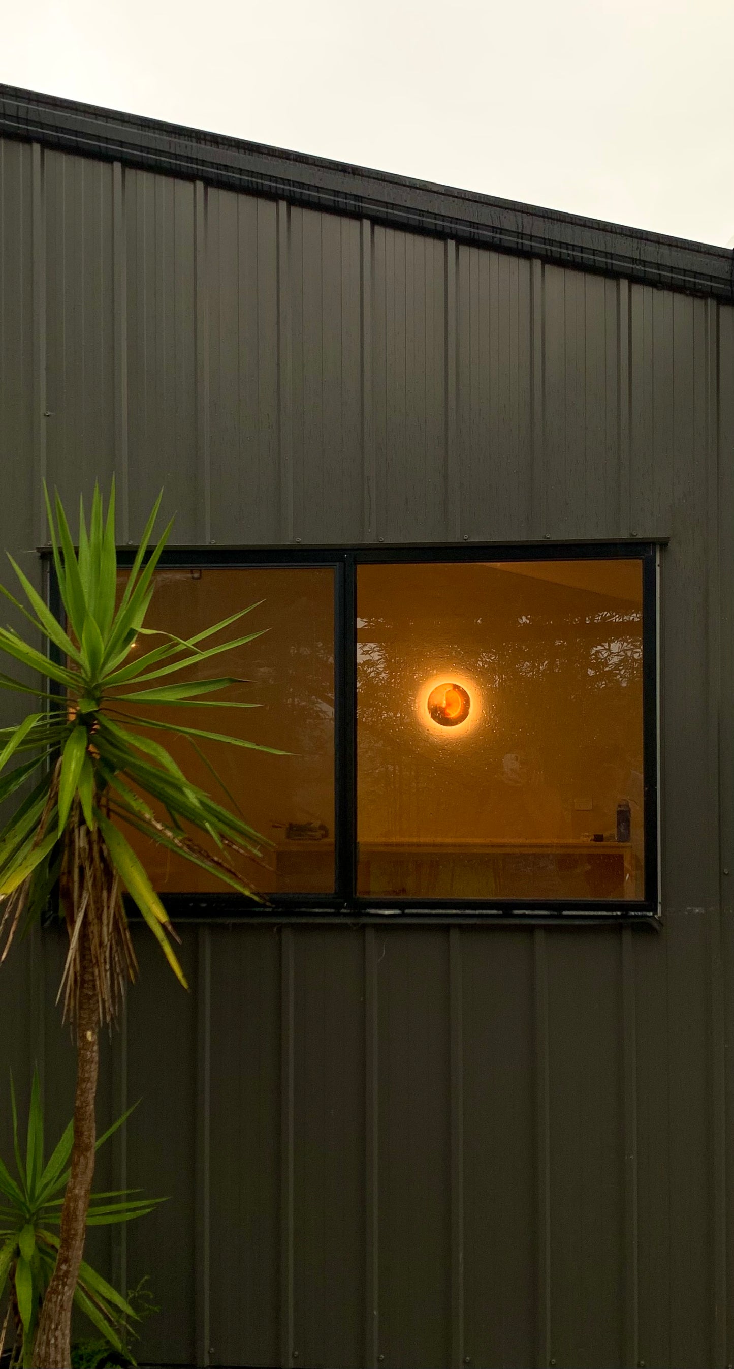 Nautilus wall sconce