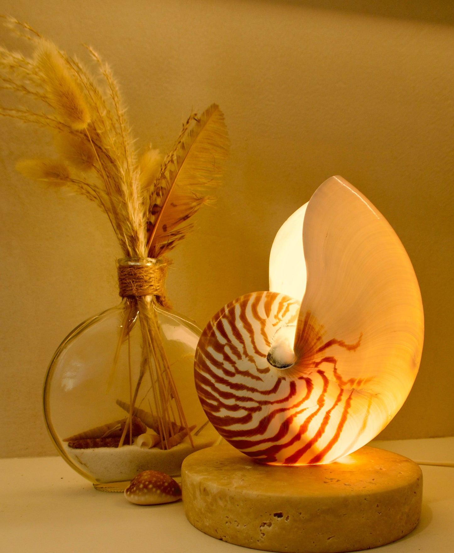 Decorative lamp with a shell design on a neutral background