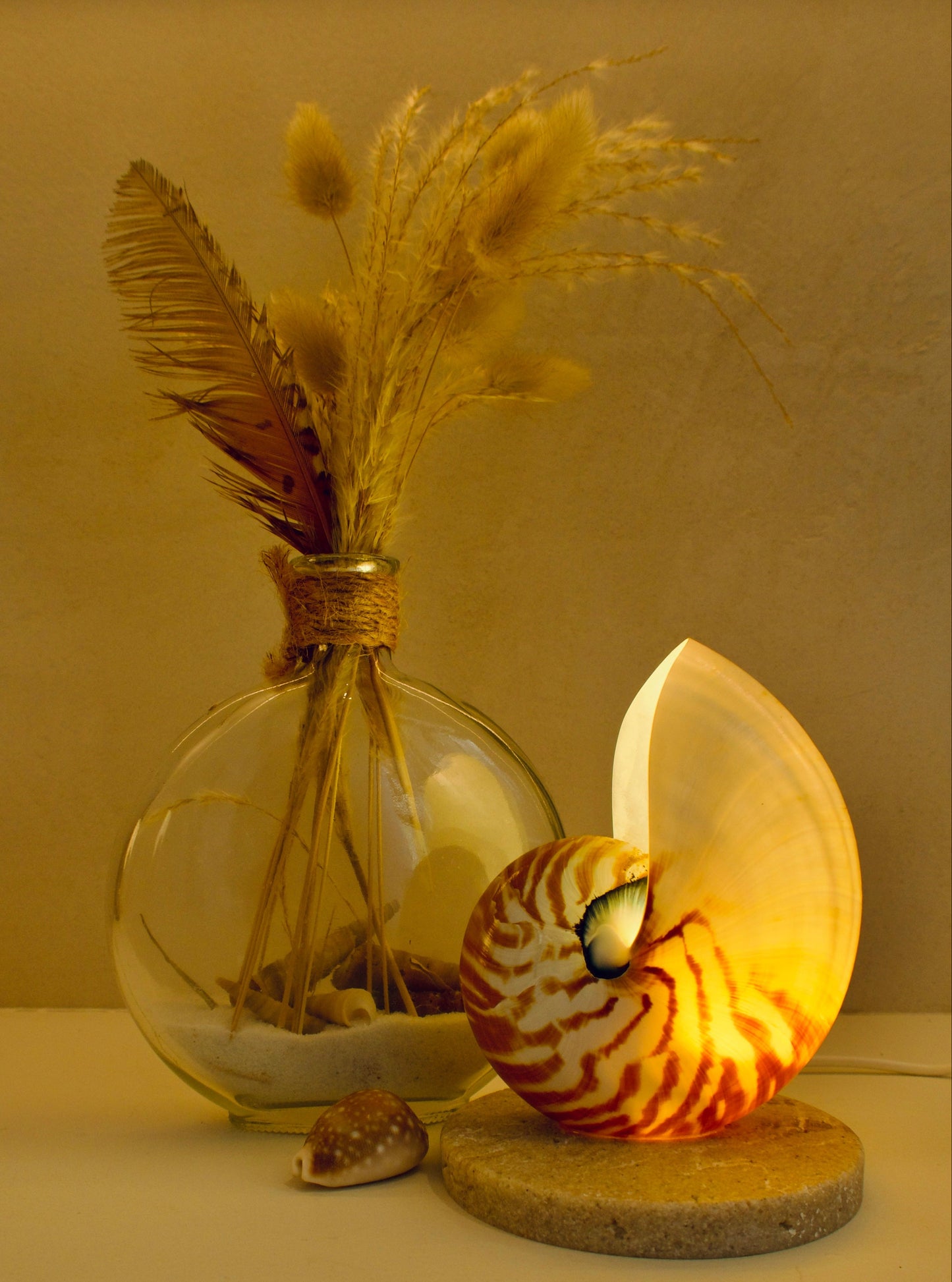 small nautilus shell bedside lamp on a travertine look base