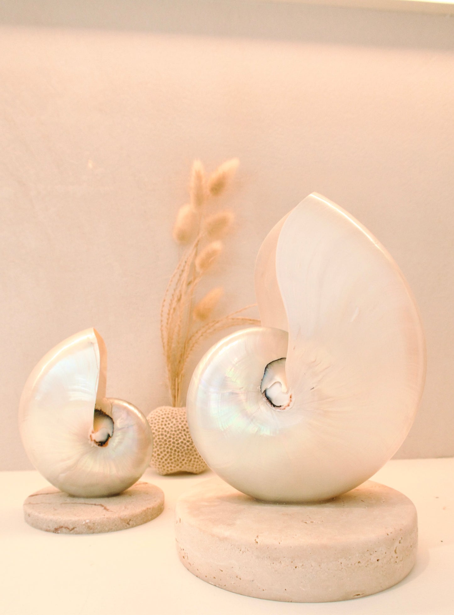 small and large mother of pearl nautilus shell bedside lamps on a travertine base