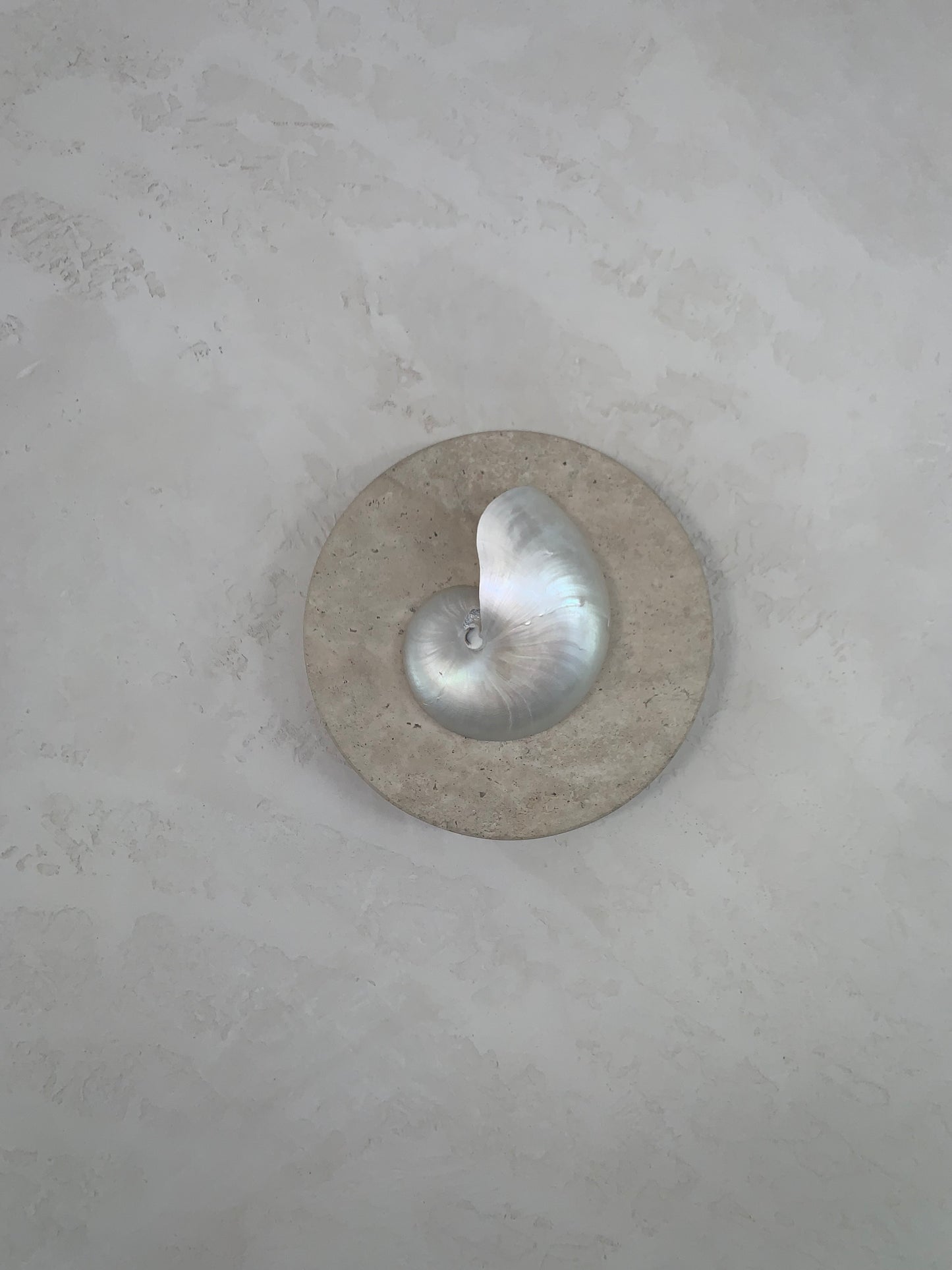 Pearl Nautilus wall sconce