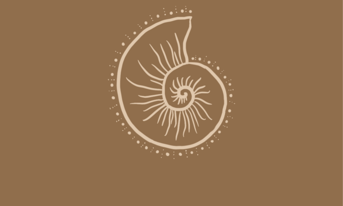 The Story of Shellamps | Handmade Coastal Lighting