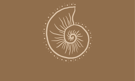 The Story of Shellamps | Handmade Coastal Lighting