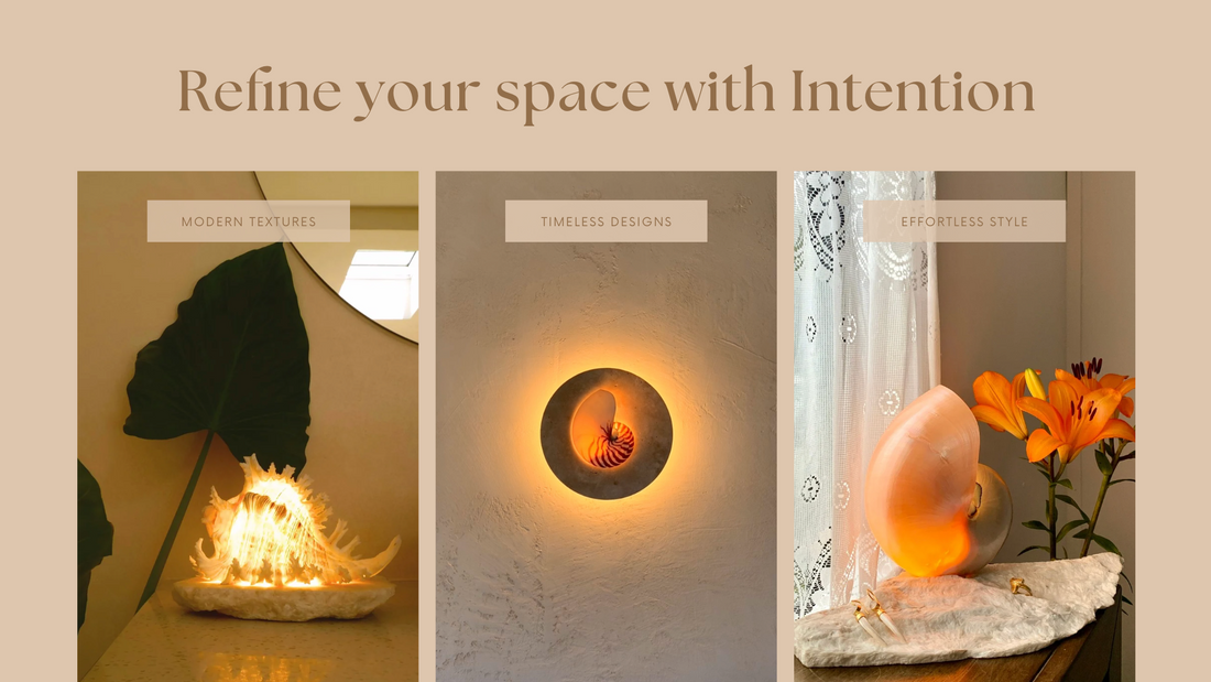 Light from the Sea: The Story Behind the Shell