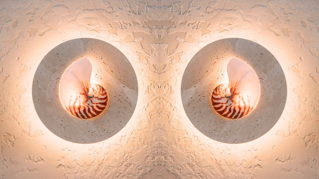 Shellamps Wall Sconces: Coastal Light, Artful Design