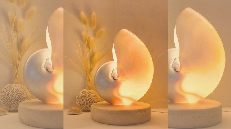 Mother of Pearl Collection