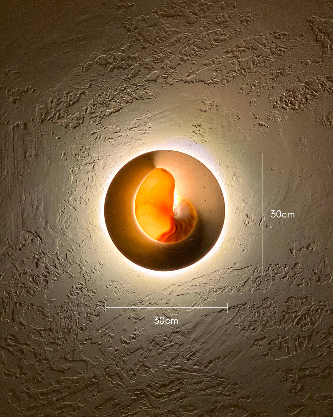 Pearl Nautilus wall sconce