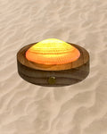rechargeable LED Sunset clam shell lamp