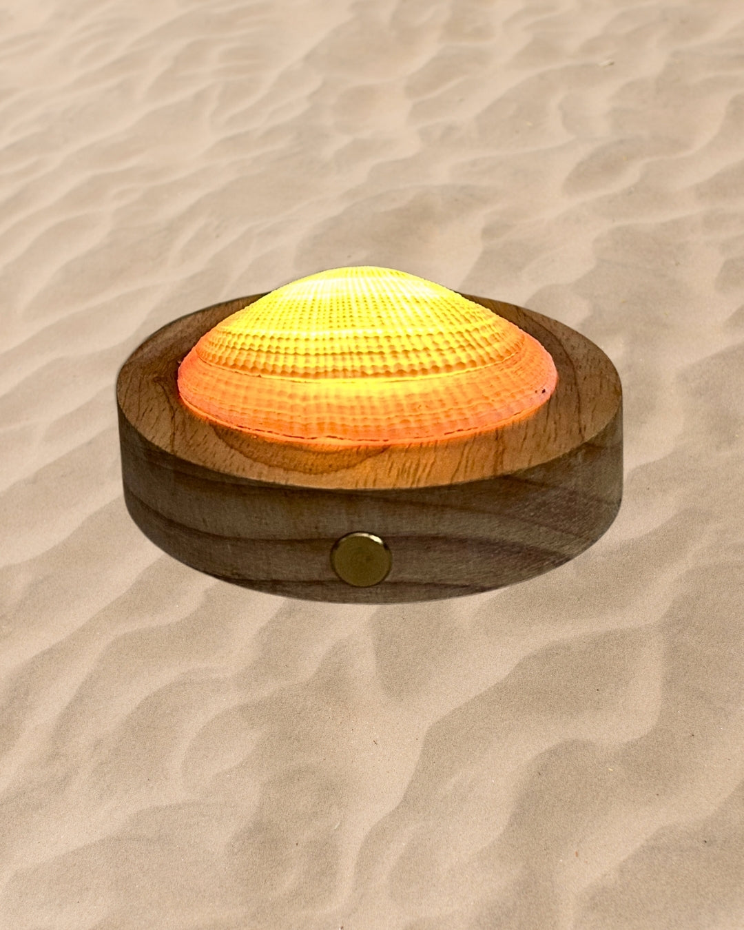 rechargeable LED Sunset clam shell lamp