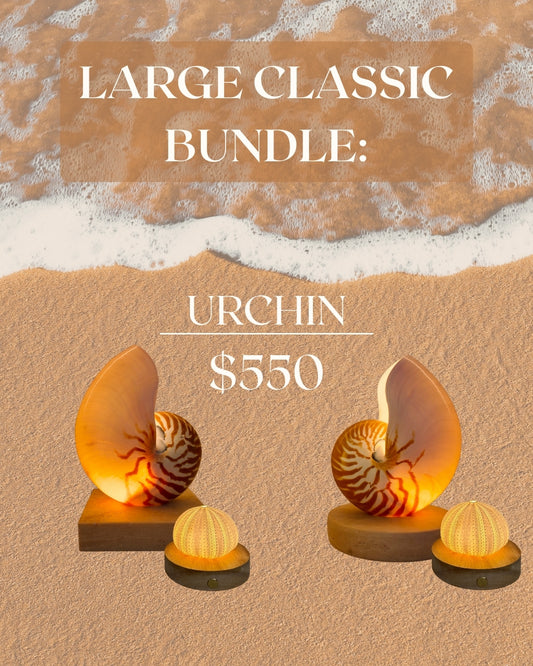 Large Classic Bundles