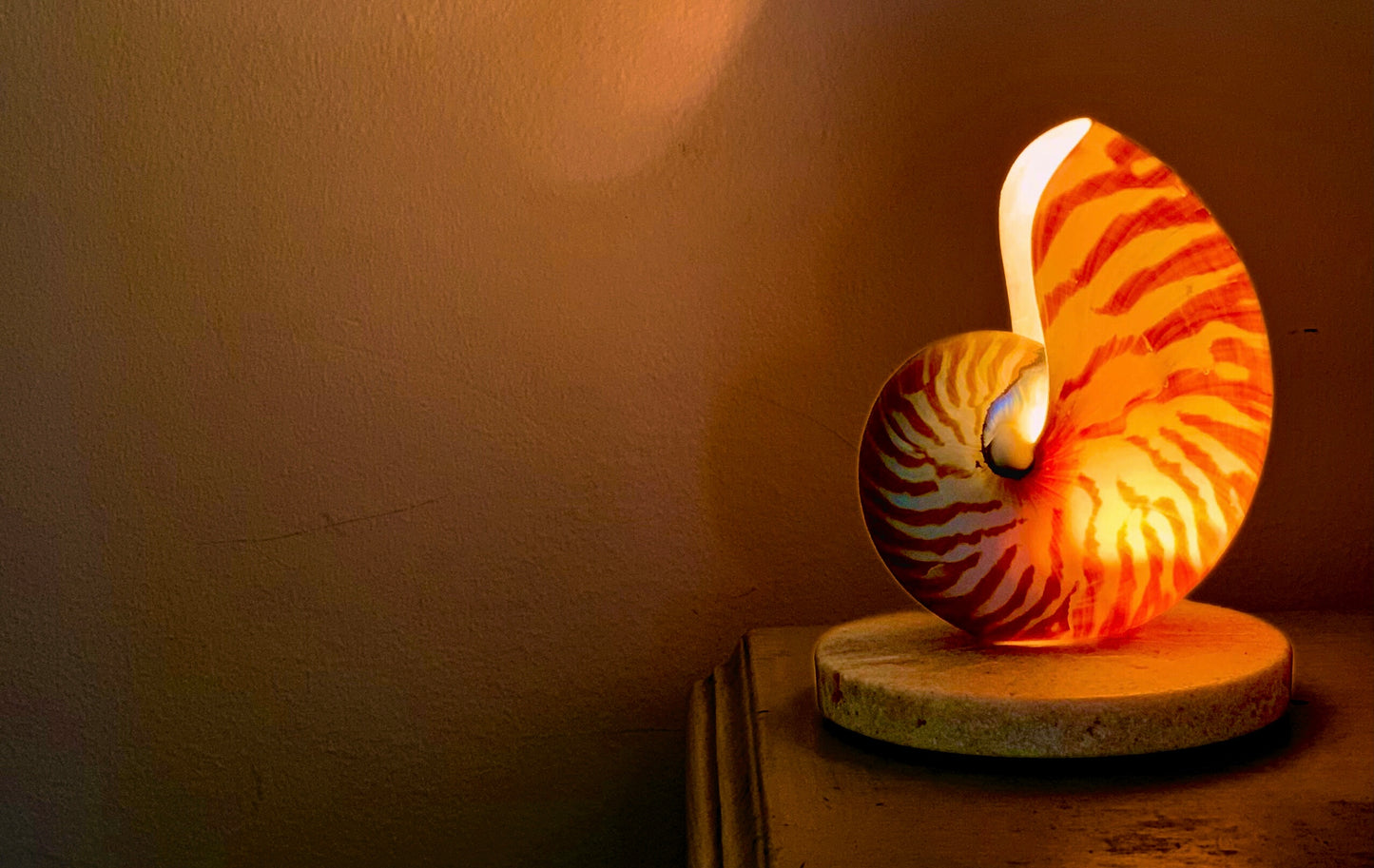 Nautilus Shell Lamp - Small