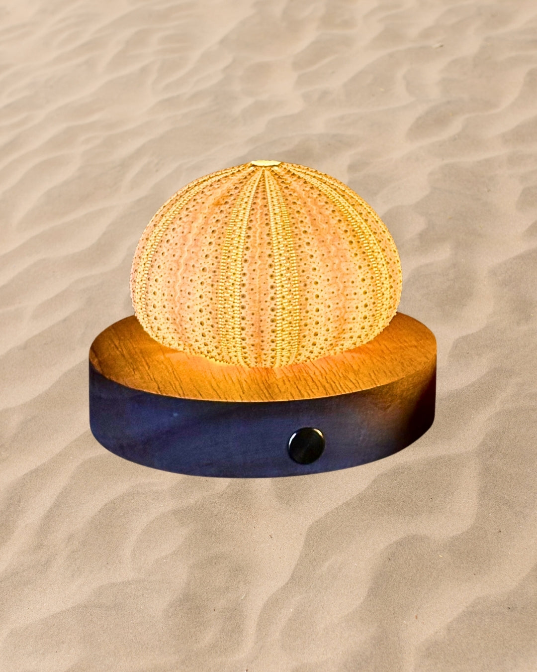 rechargeable LED Sea urchin shell lamp