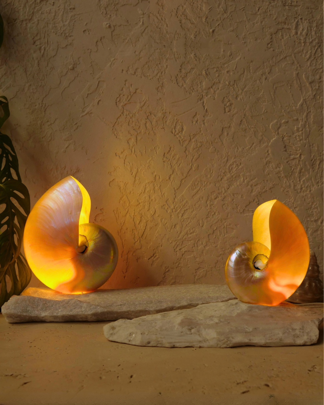 LARGE Grande Mother of Pearl
