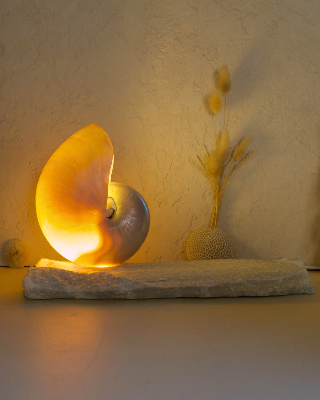 LARGE Grande Mother of Pearl