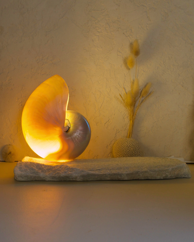 LARGE Grande Mother of Pearl