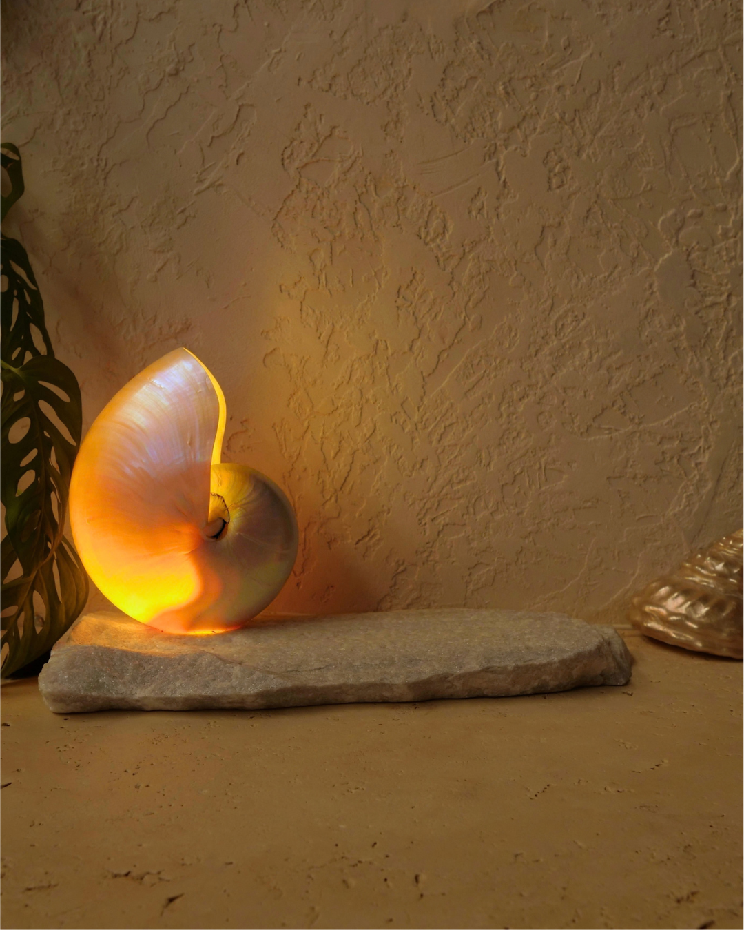 LARGE Grande Mother of Pearl