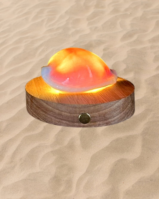 White Cowry Shell Lamp