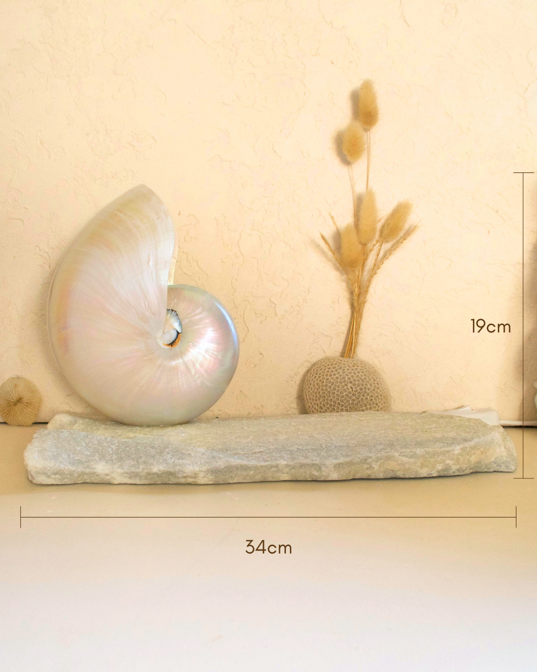 LARGE Grande Mother of Pearl