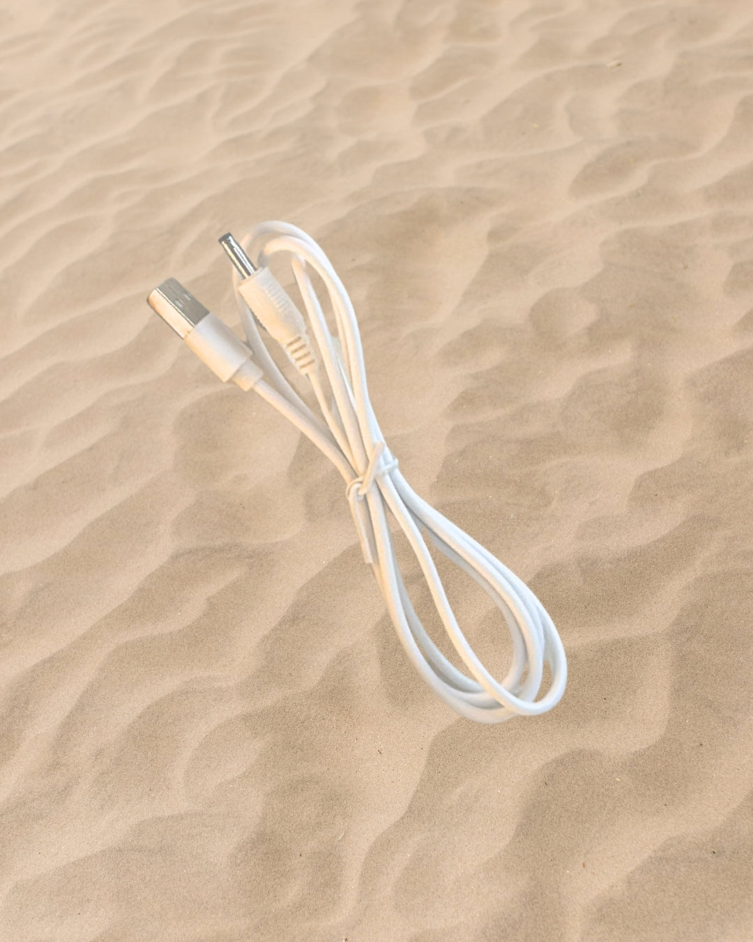 Sunset Clam Shellamp