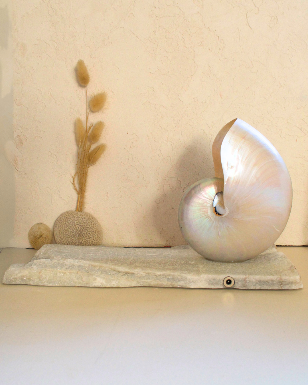 LARGE Grande Mother of Pearl