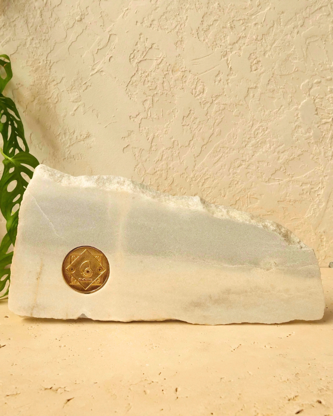 LARGE Grande Mother of Pearl