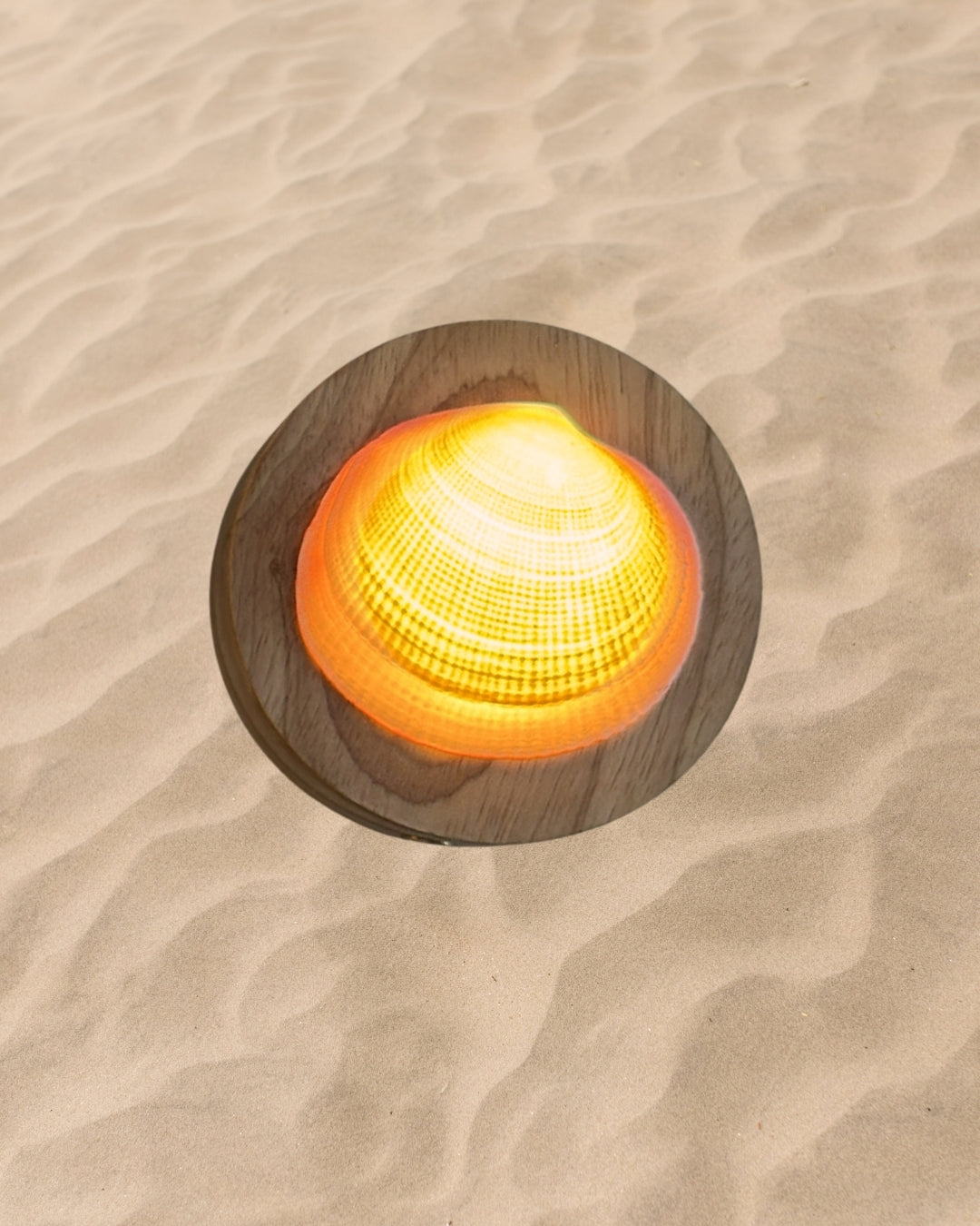 rechargeable LED Sunset clam shell lamp
