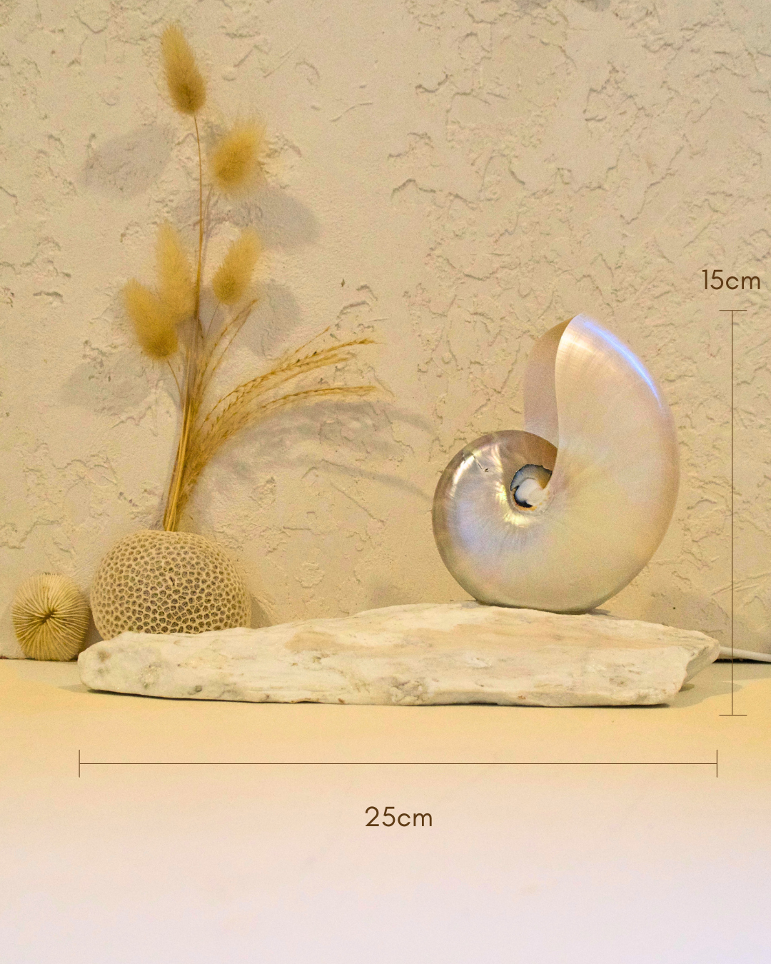 SMALL Grande Mother of Pearl