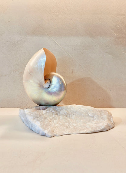 Grande Mother of Pearl - large