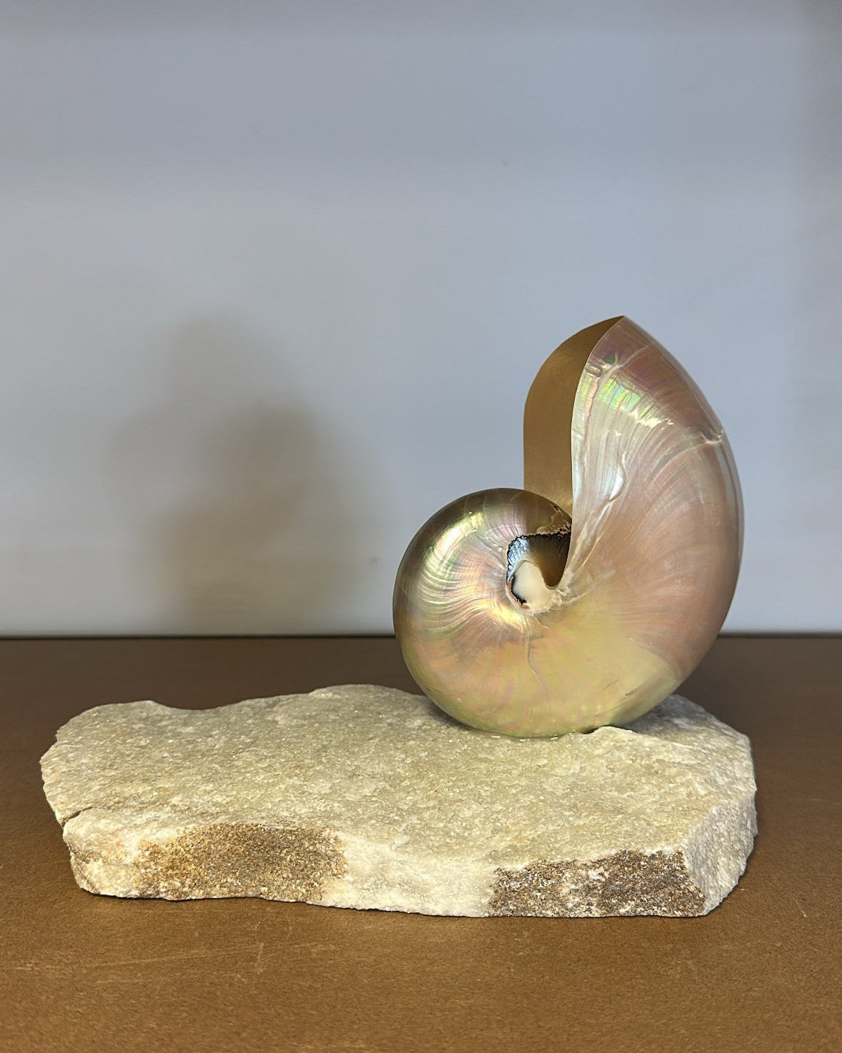 Grande Mother of Pearl - large