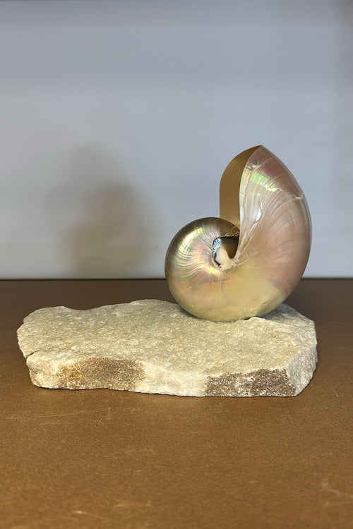 Grande Mother of Pearl - large