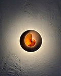 Nautilus shell and travertine stone wall sconce on textured render