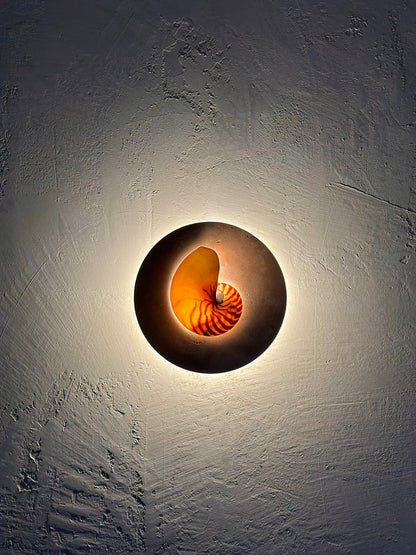 Natural Nautilus wall sconce