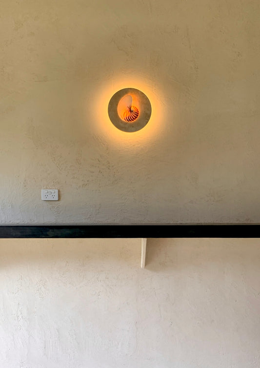 Natural Nautilus wall sconce