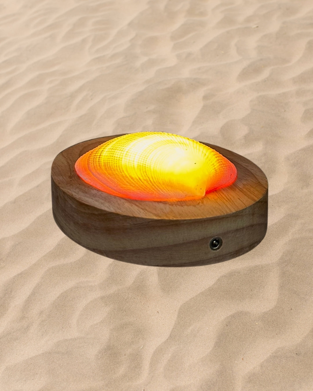 rechargeable LED Sunset clam shell lamp