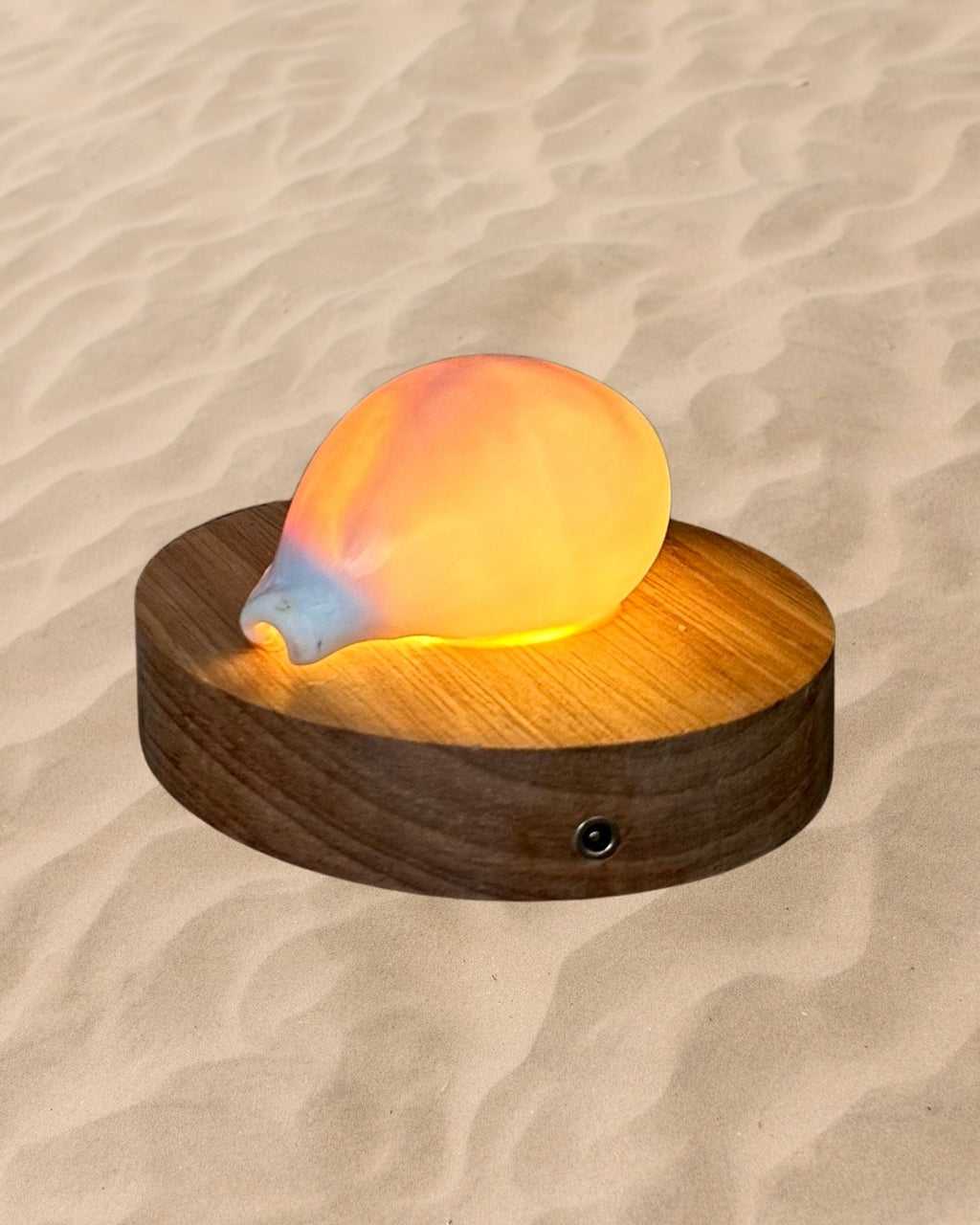 rechargeable LED White Cowry shell lamp
