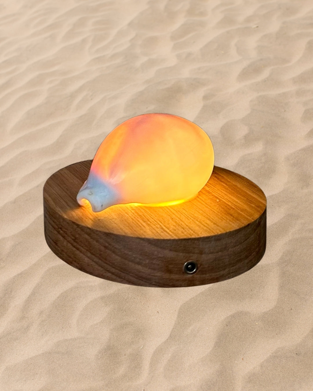 rechargeable LED White Cowry shell lamp