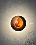 Natural Nautilus wall sconce