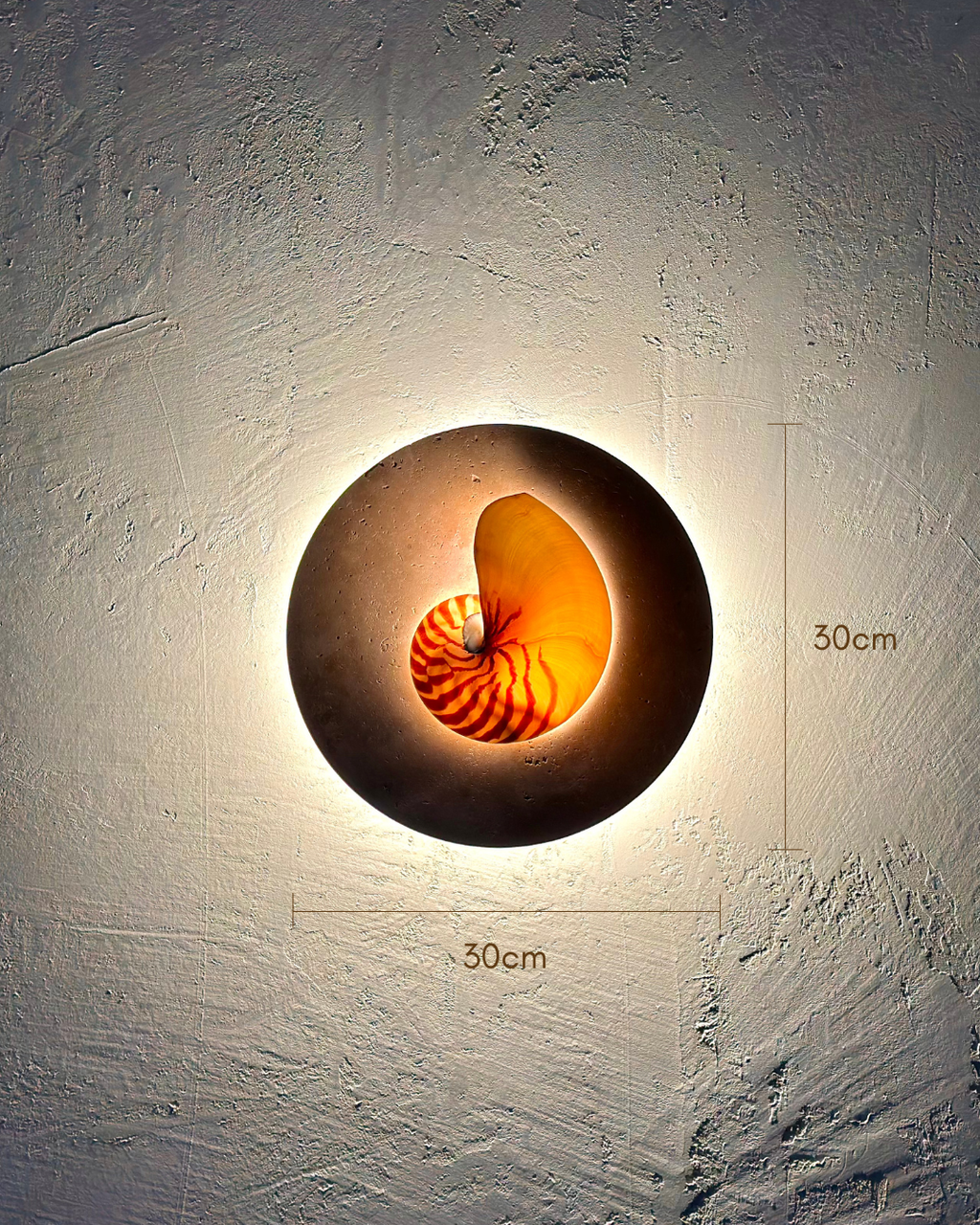 Natural Nautilus wall sconce