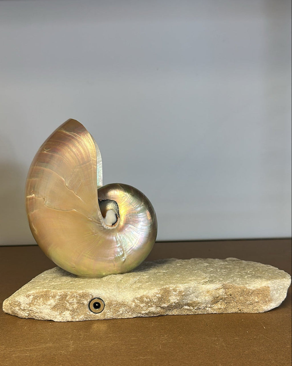 Grande Mother of Pearl - large