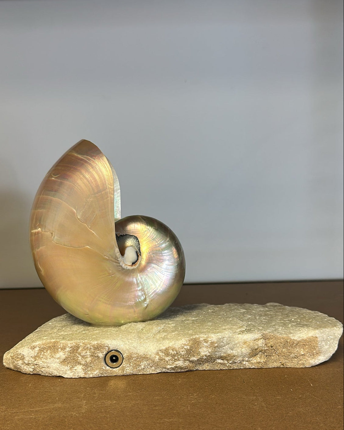Grande Mother of Pearl - large