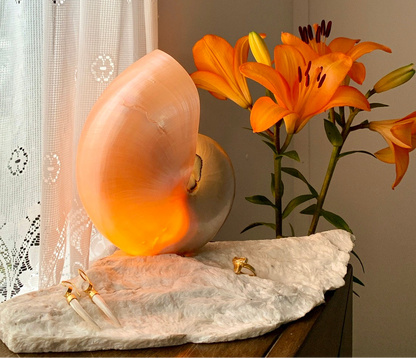 Grande Mother of Pearl - large