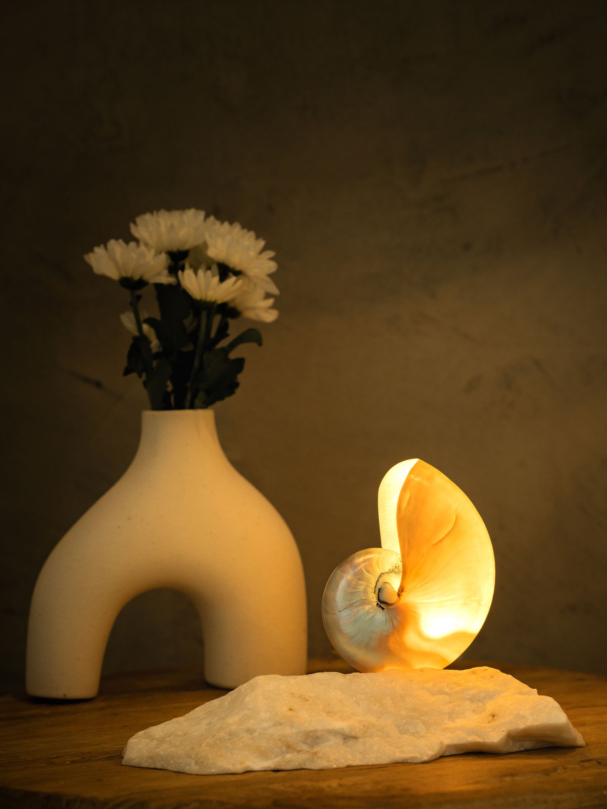 small mother of pearl nautilus shell lamp on a quartz base