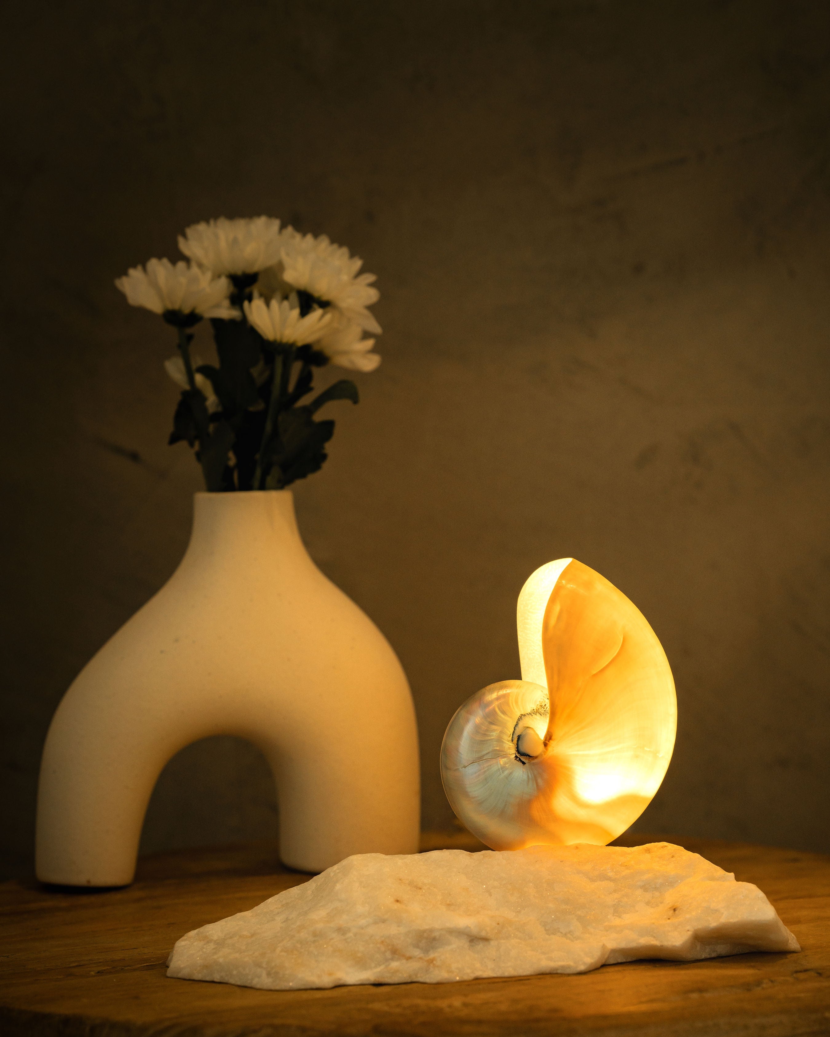 small mother of pearl nautilus shell lamp on a quartz base