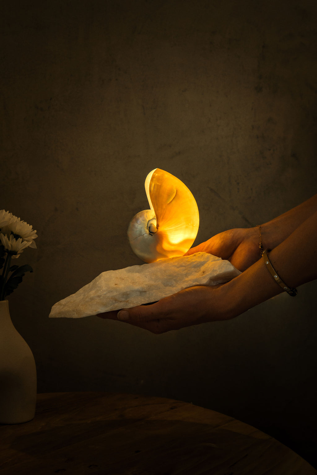 small mother of pearl nautilus shell lamp on a quartz base