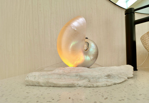 Grande Mother of Pearl - large